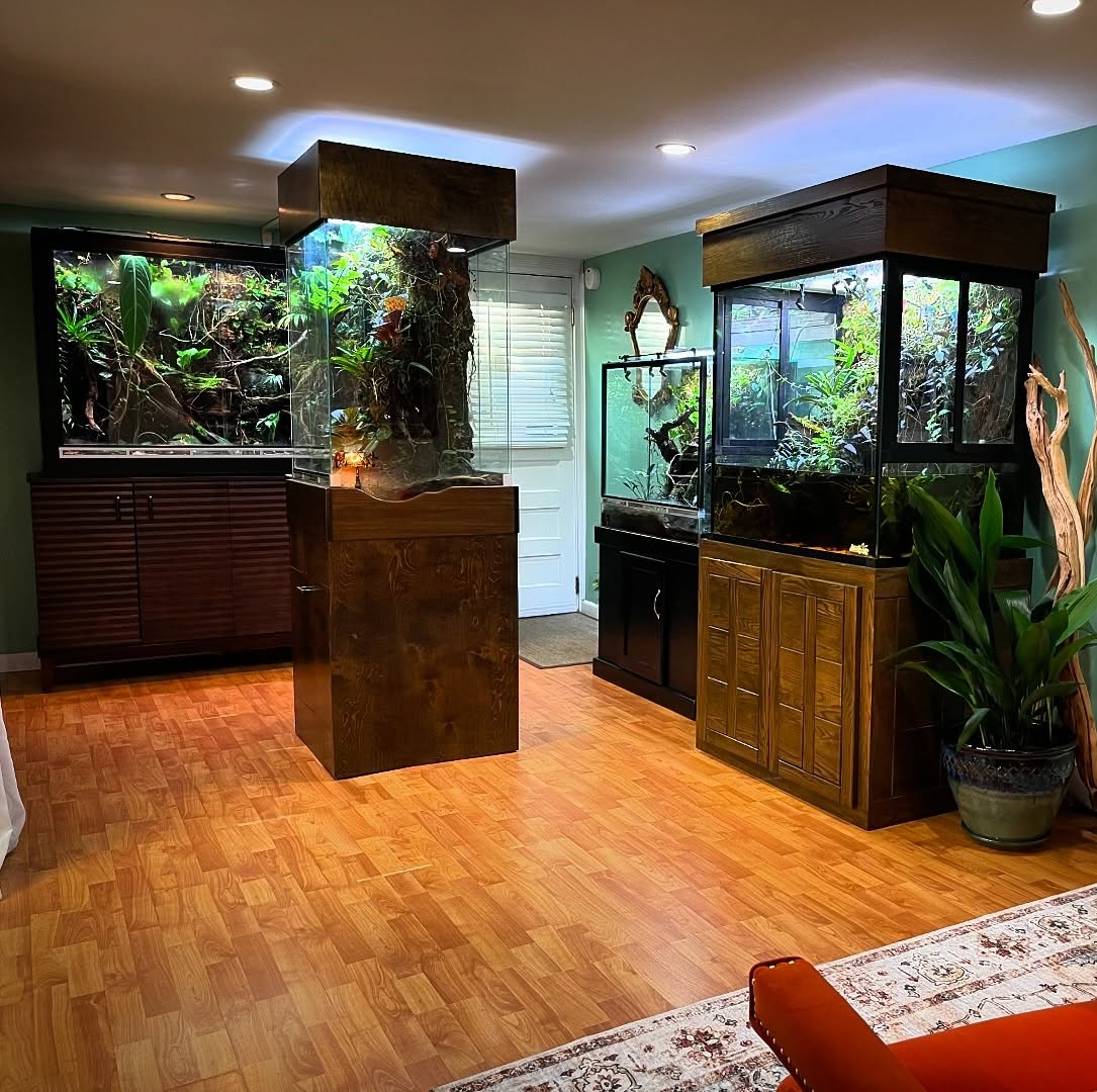 A living room with several planted display cabinets
