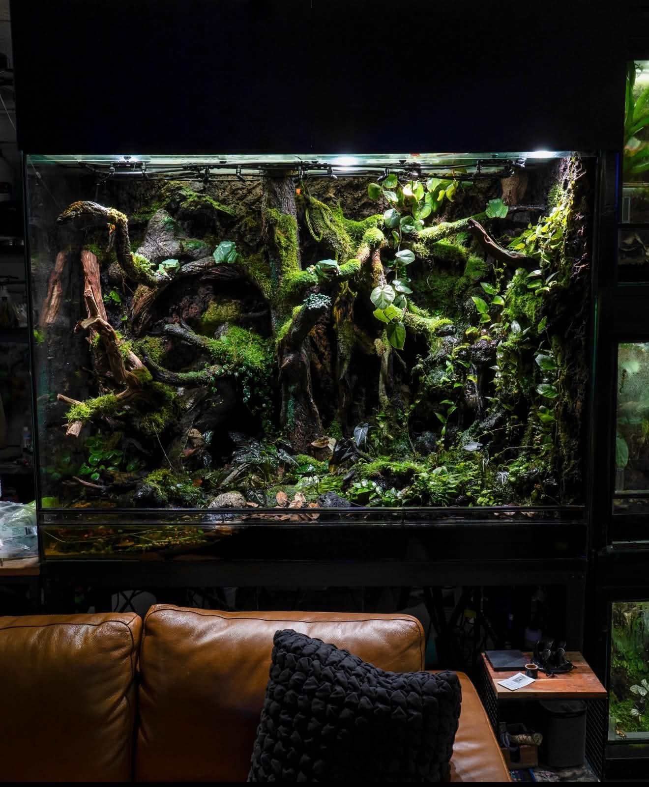 A large planted vivarium beside a leather sofa
