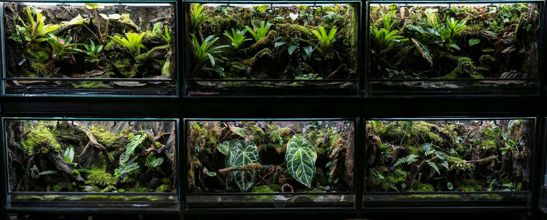 Stacked rows of planted enclosures