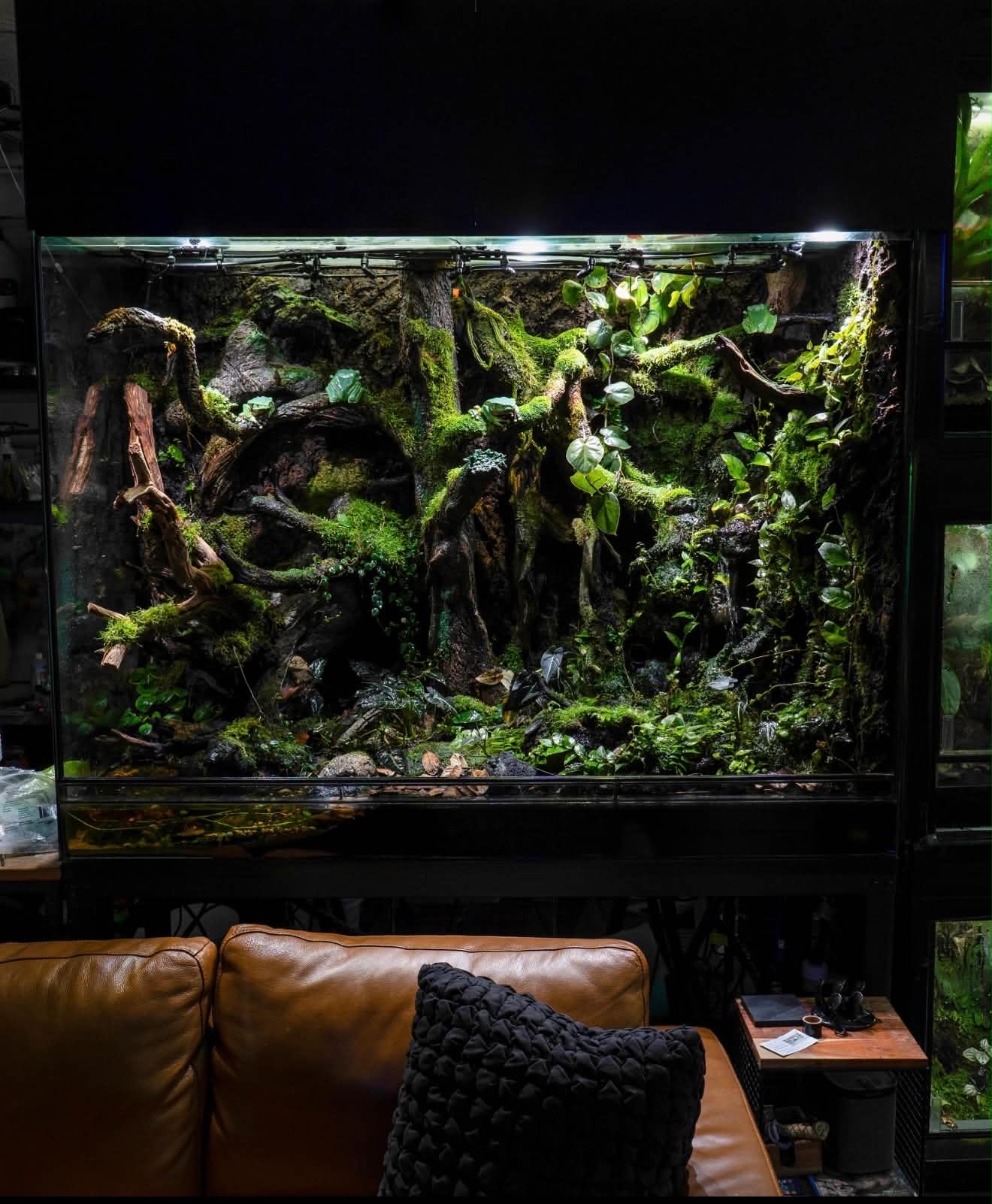 A large planted vivarium built into a living room